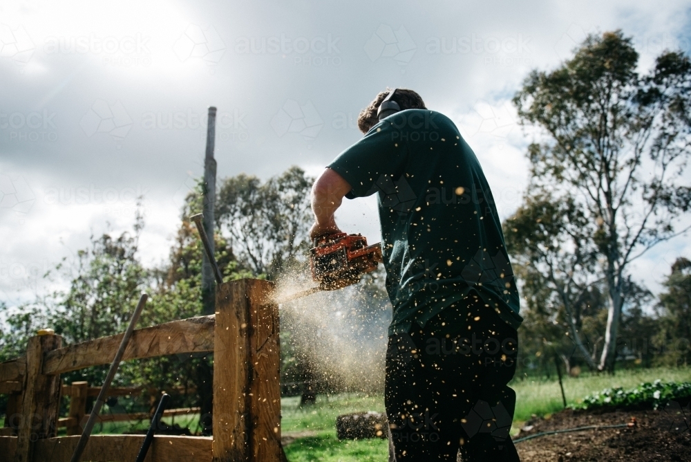 Man using chainsaw, building post and rail fence - Australian Stock Image