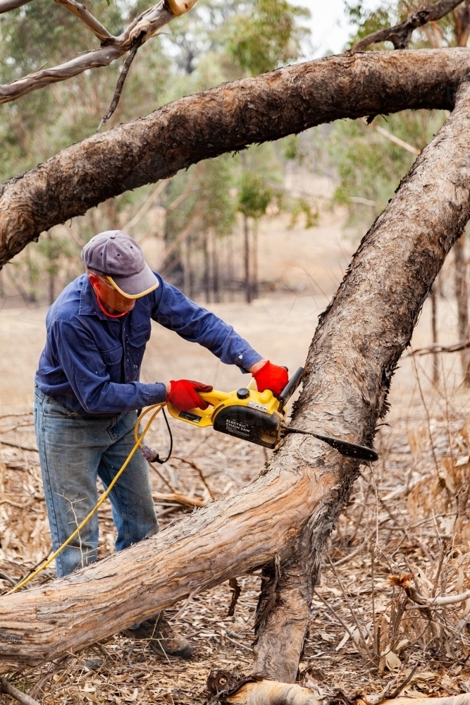 Man using small chainsaw to cut large fallen branch - Australian Stock Image