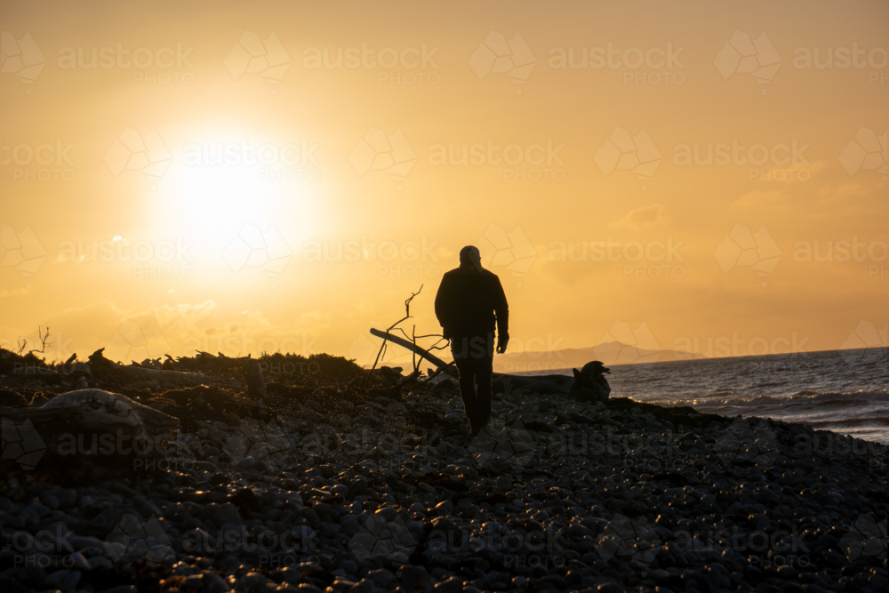 Man walking along the shoreline at sunset. - Australian Stock Image