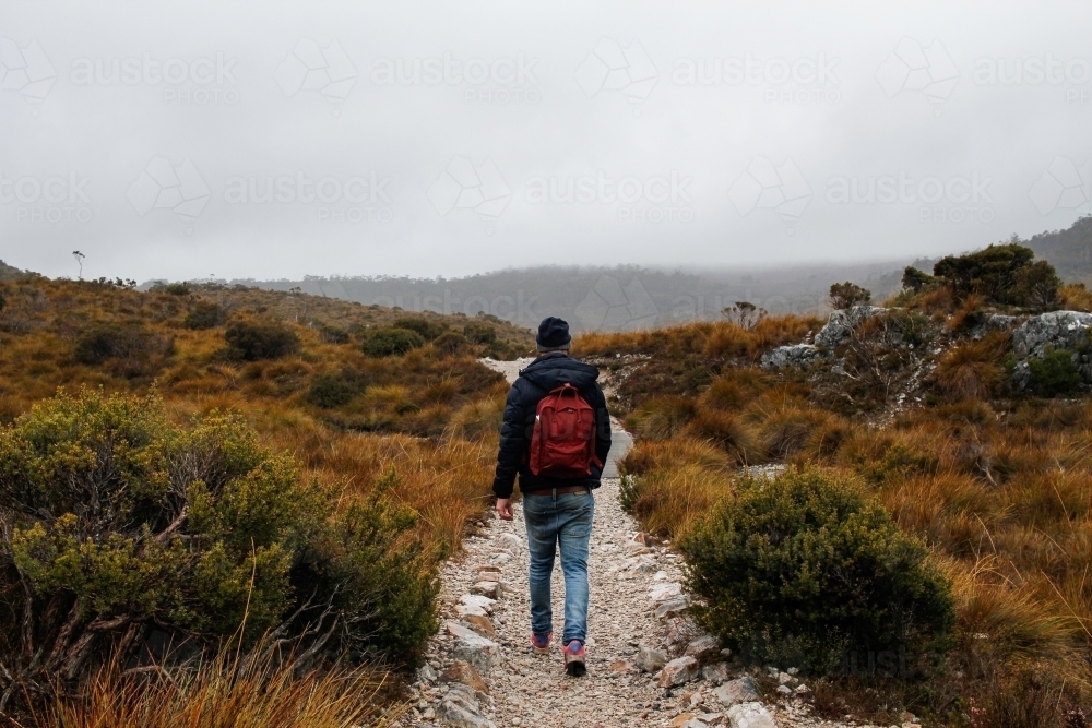 Man walking Dove Lake track - Australian Stock Image