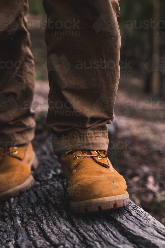 Man walking in yellow boots across fallen log in bush - Australian Stock Image