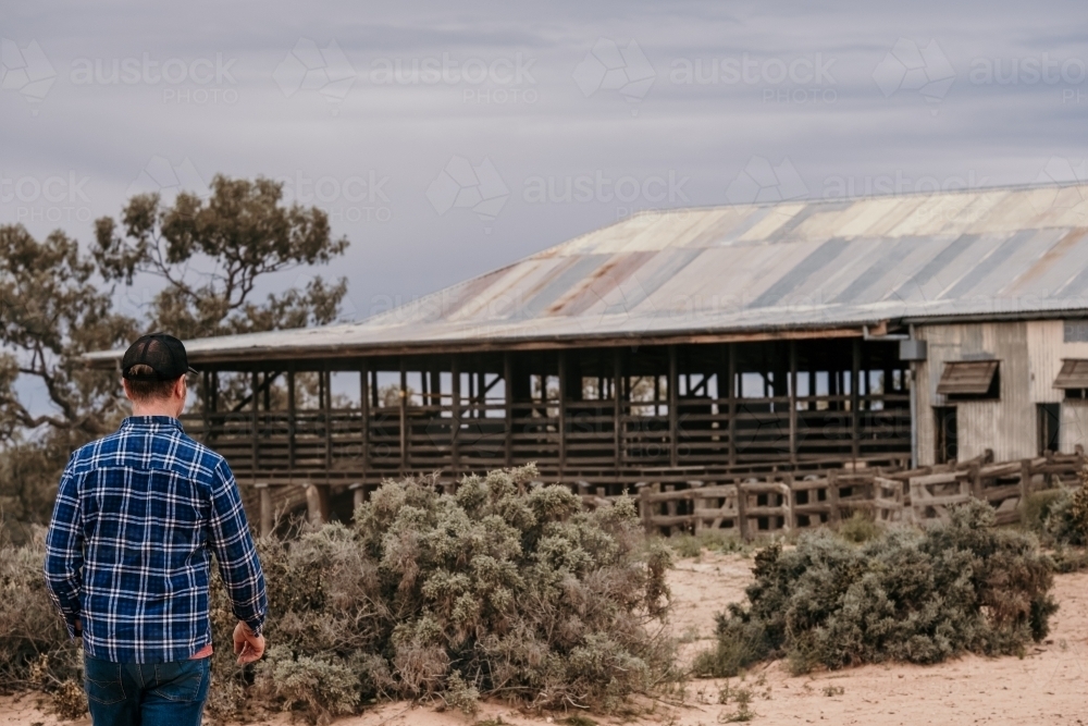 Man walking towards shearing shed. - Australian Stock Image
