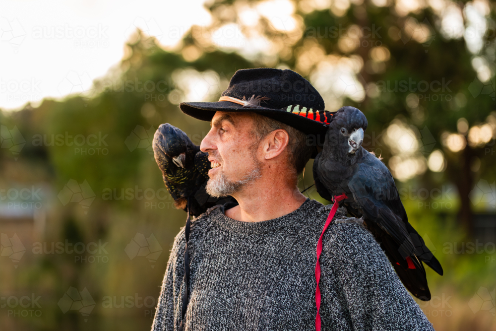 Man with black cockatoo feather in hat with pet birds on shoulders - Australian Stock Image