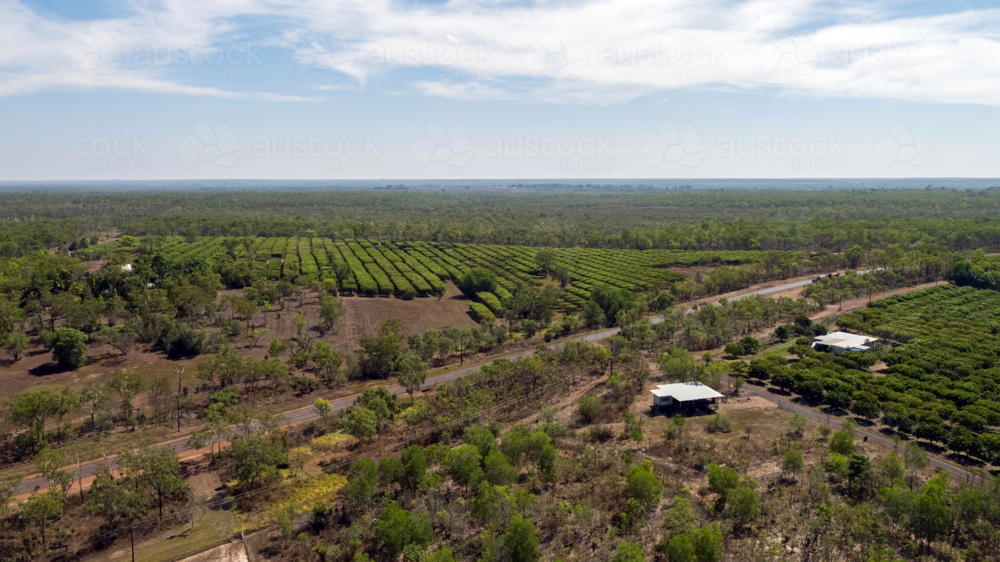 Mango farming drone view over landscape - Australian Stock Image