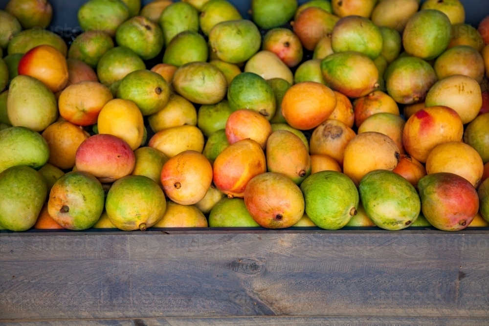 Mango fruit on display and grocery shop - Australian Stock Image