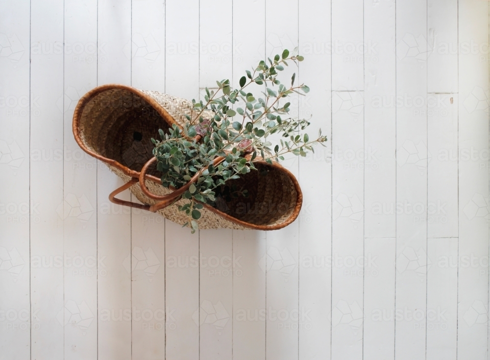 Market basket with eucalyptus branches on white floorboards : Austockphoto Market basket with eucalyptus branches on white floorboards - Australian Stock Image