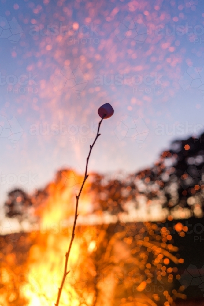 marshmallow on a stick by a bonfire - Australian Stock Image