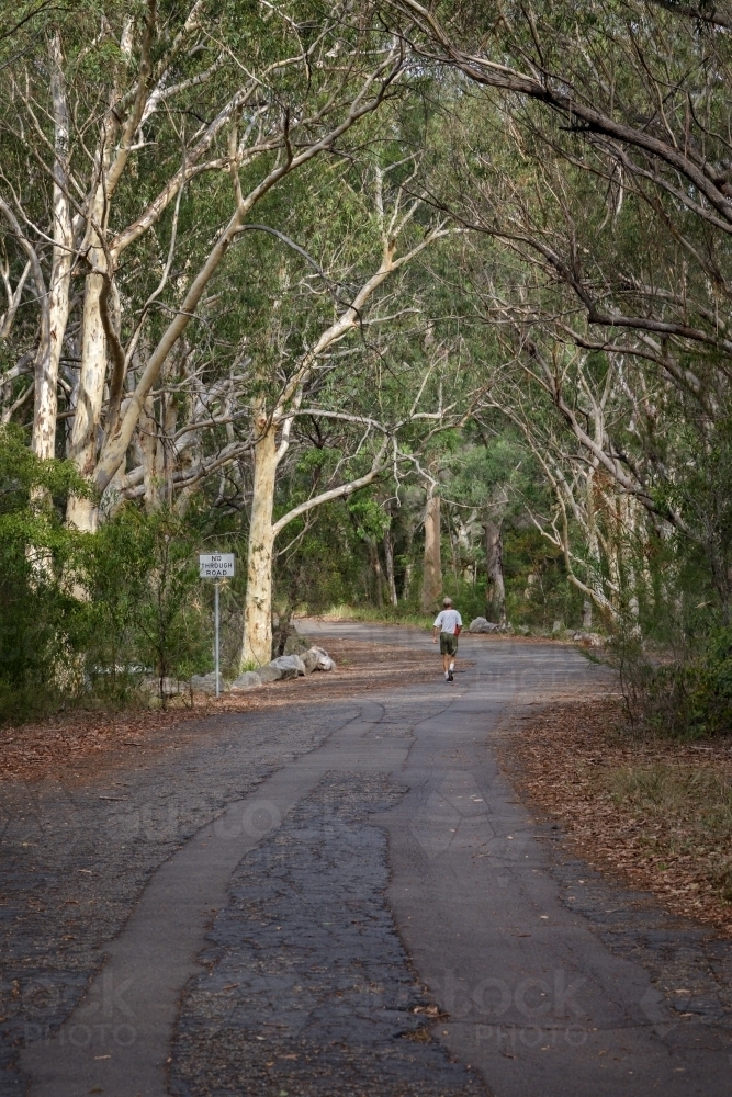 Mature aged man keeping fit by walking on a bush road - Australian Stock Image