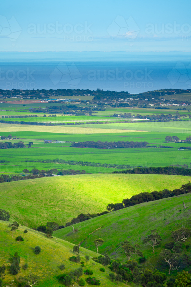 Mclaren Vale in South Australia - Australian Stock Image