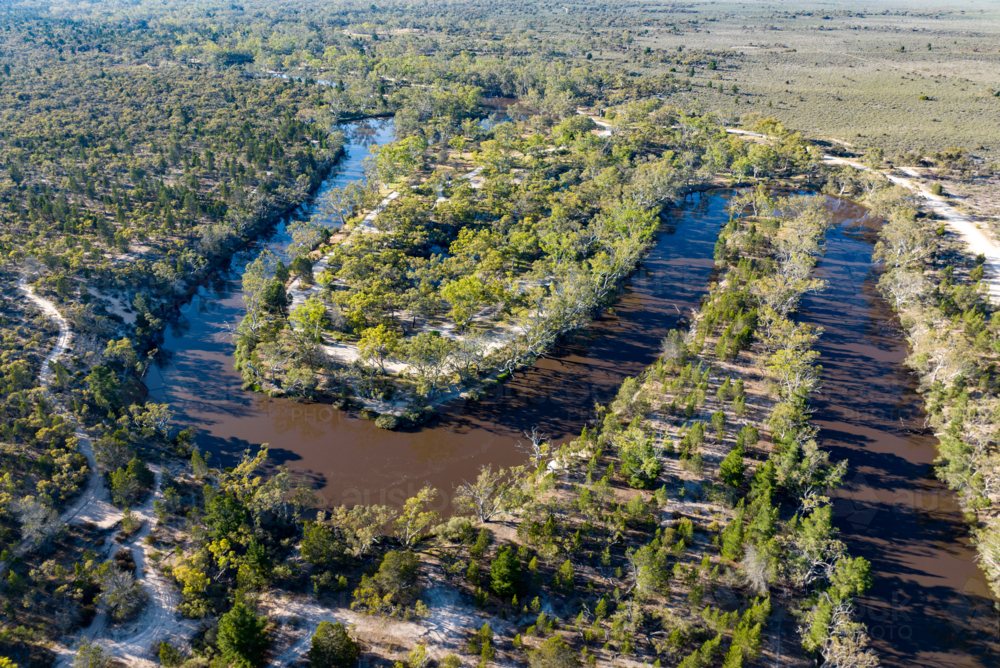 Image of Meandering river channels weaving through forested floodplain ...