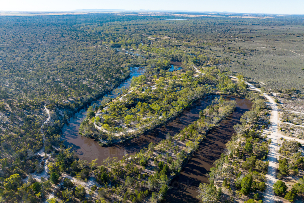 Meandering river channels weaving through forested floodplain under clear skies - Australian Stock Image