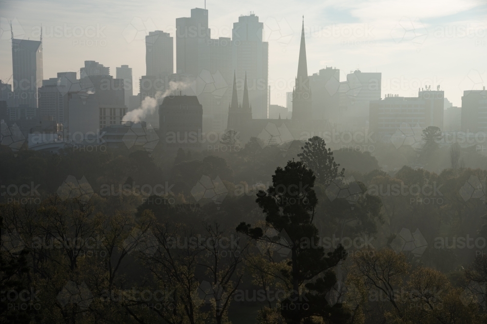 Melbourne city skyline across Fitzroy gardens - Australian Stock Image