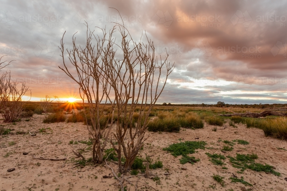 Menindee lakes void of most of its water in 2019. - Australian Stock Image