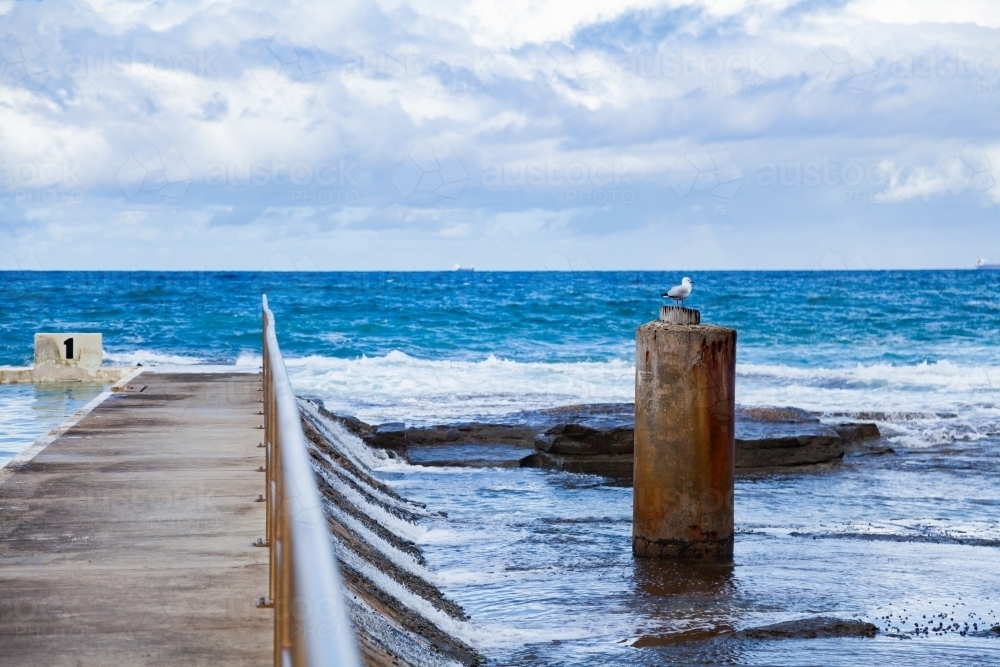 Merewether ocean pool with seagull and overflow and railing - Australian Stock Image