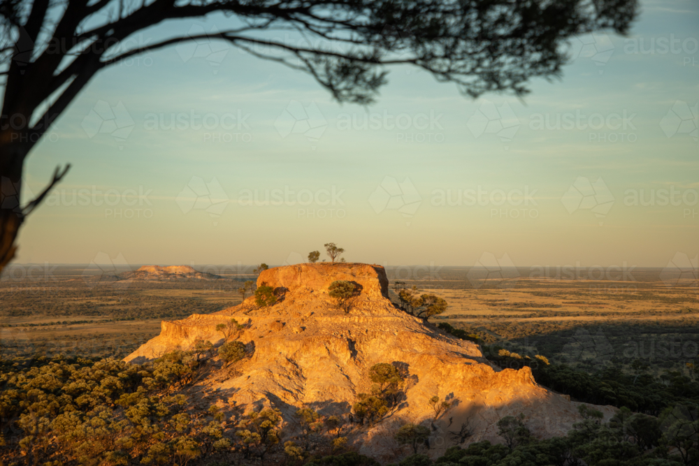 Mesa hill framed by tree - Australian Stock Image