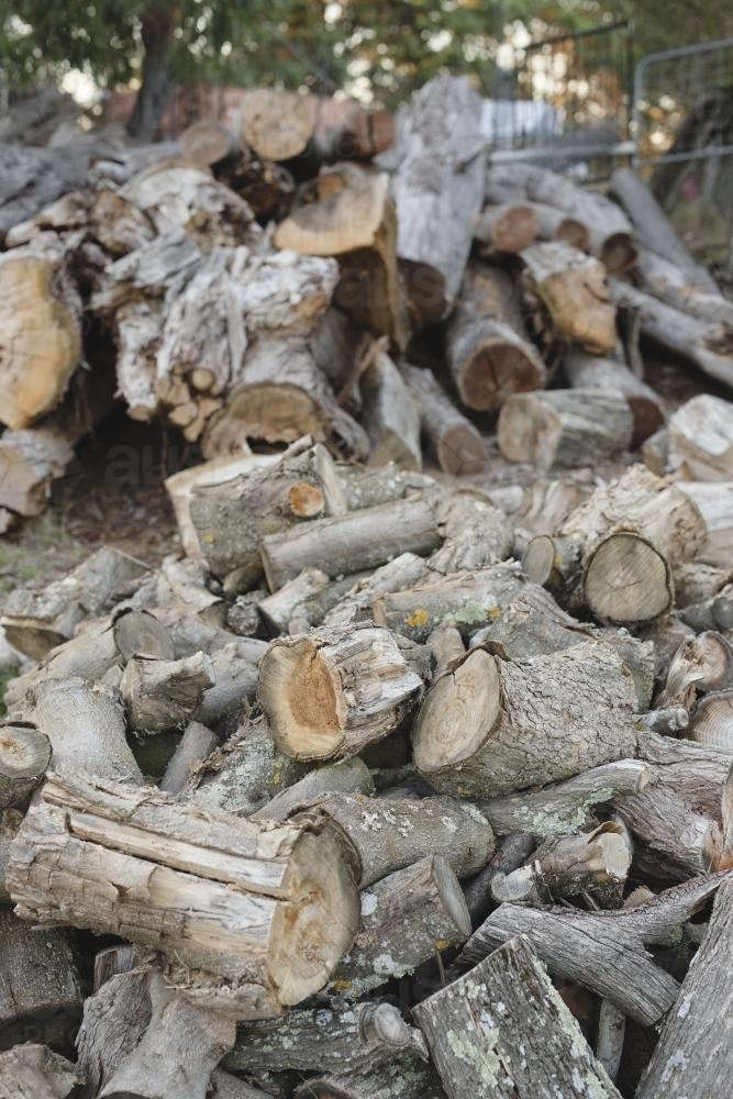 Messy pile of dry firewood - Australian Stock Image