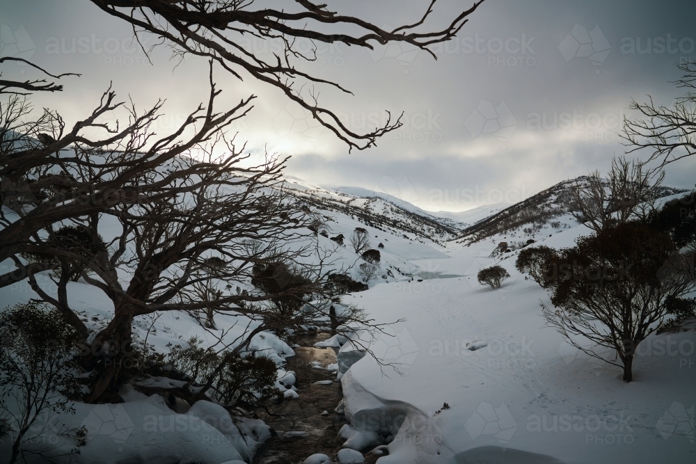 Mid Winter crossing of Blue Cow Creek running into Guthega Dam covered in snow - Australian Stock Image