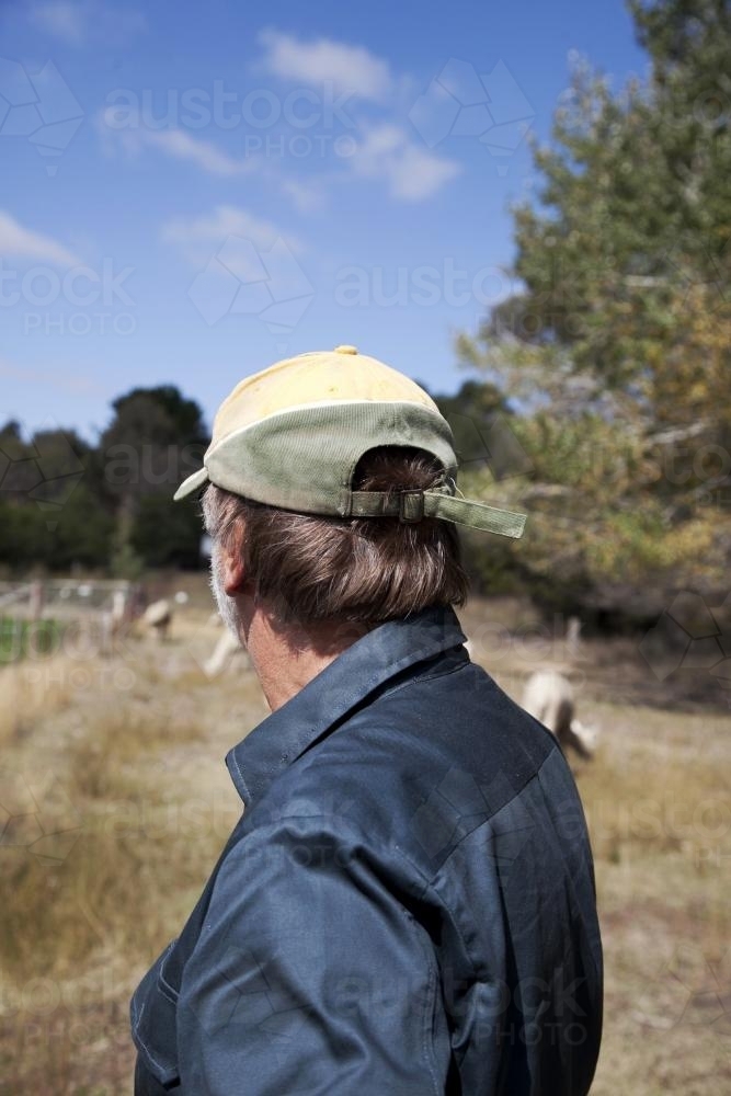 Middle aged male farmer from behind outdoors on rural property - Australian Stock Image