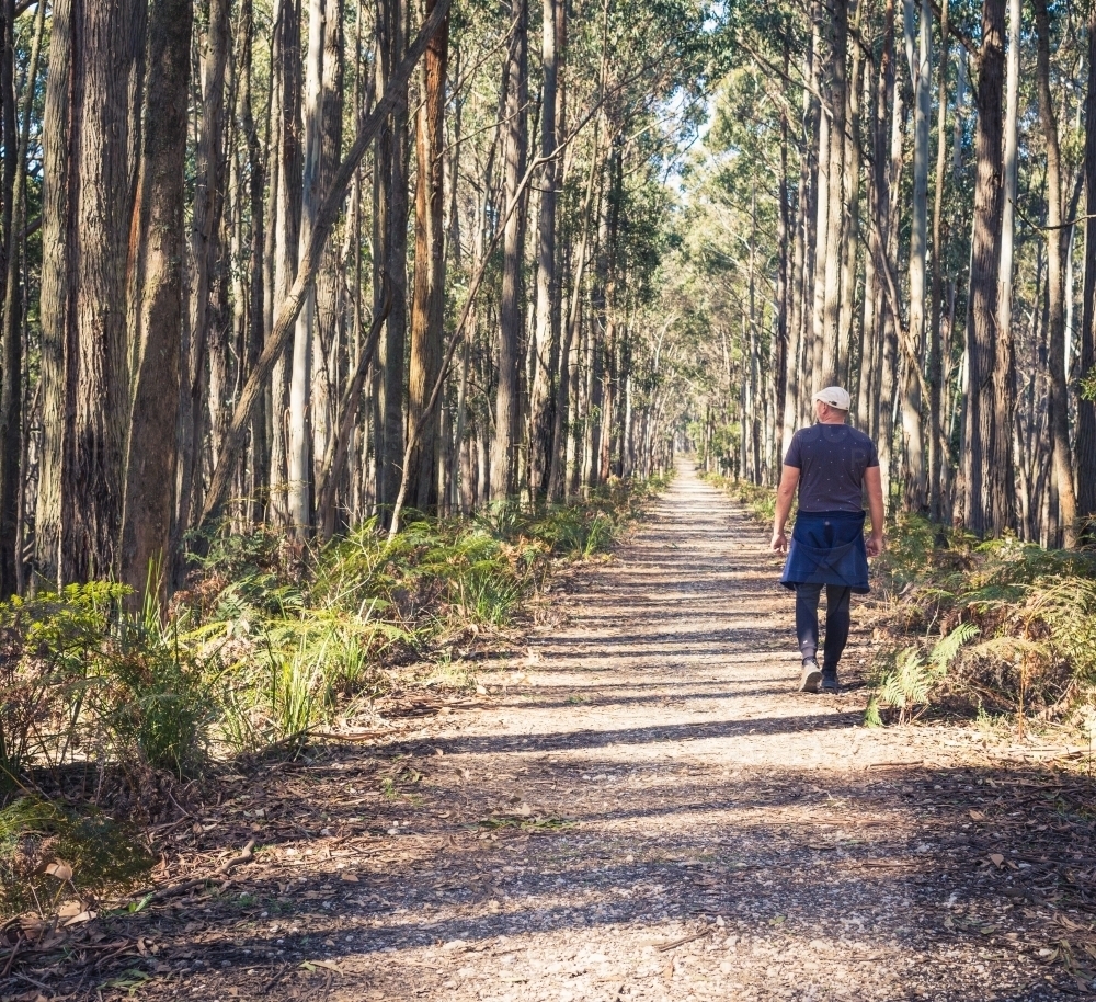 Middle aged man dressed casually walking along a path lined with trees - Australian Stock Image