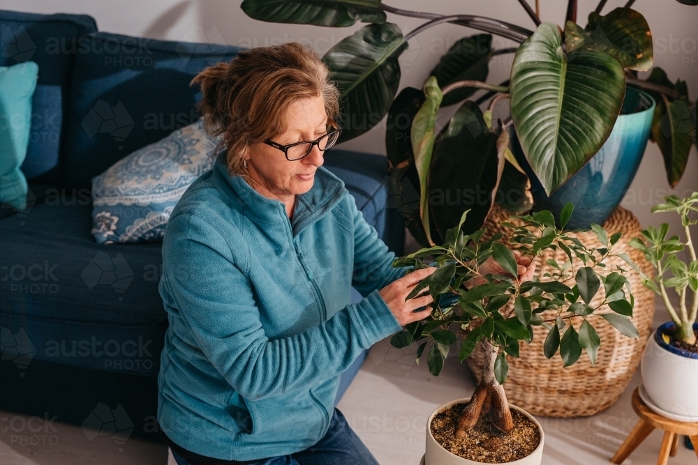 Middle aged woman tending to her plant, watering with spray bottle - Australian Stock Image