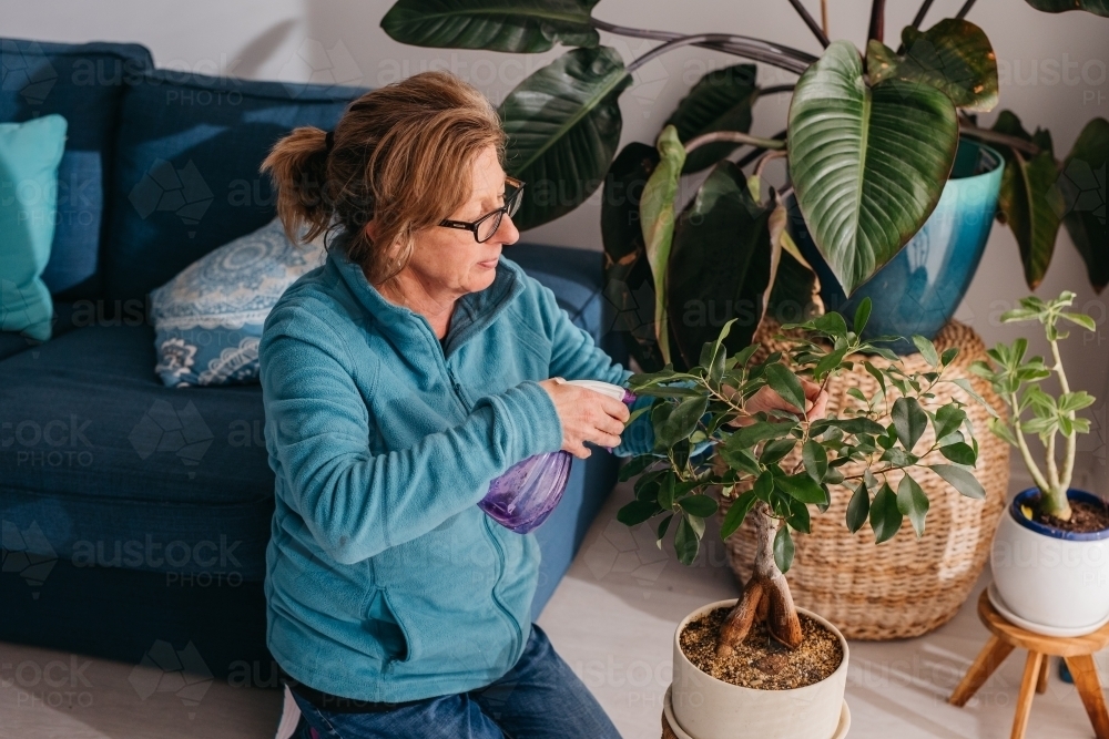 Middle aged woman tending to hear plant, watering with spray bottle - Australian Stock Image