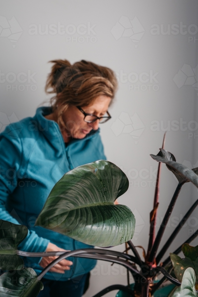 Middle aged woman tending to her plant - Australian Stock Image