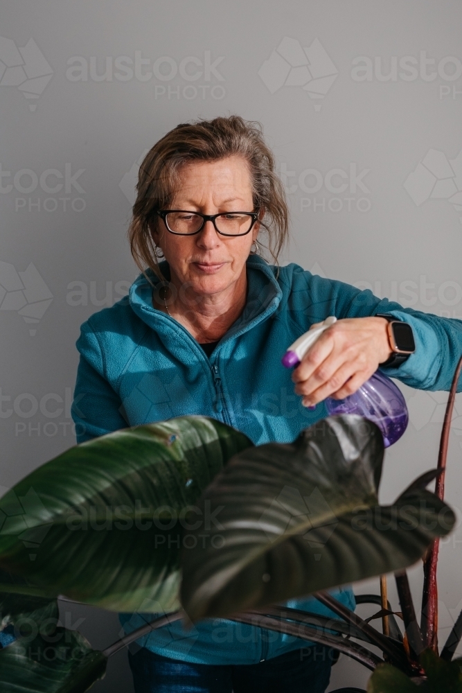Middle aged woman tending to her plant, watering with spray bottle - Australian Stock Image