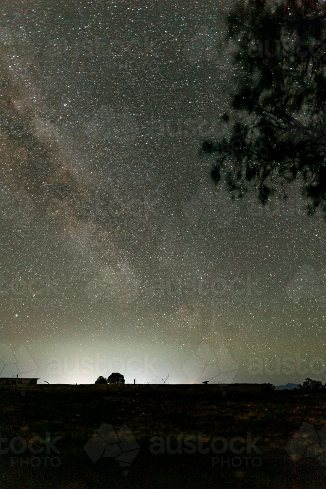 Milky Way galaxy in night sky with silhouette of trees and horizon - Australian Stock Image