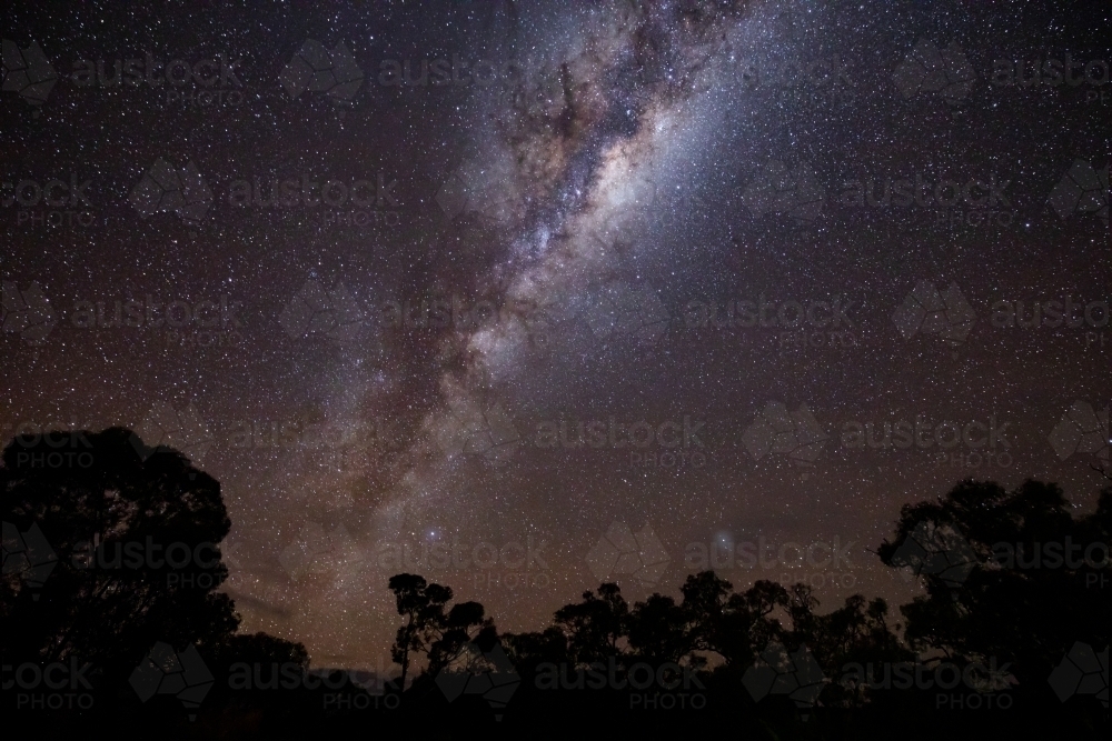 Milky Way over tree silhouettes - Australian Stock Image