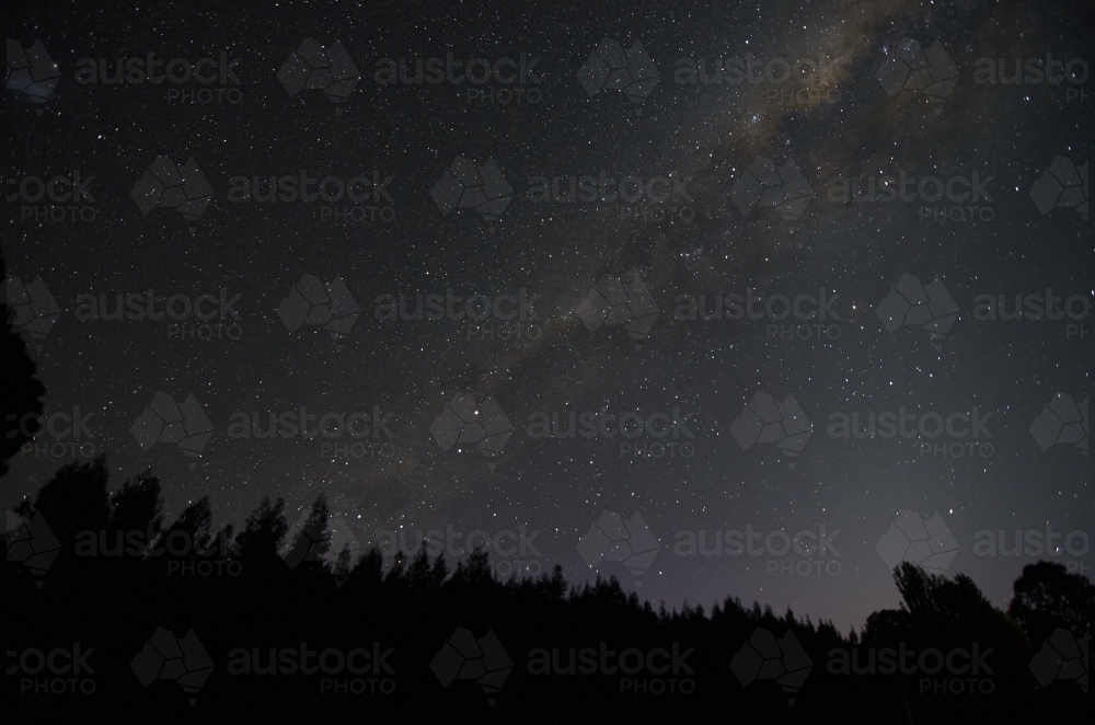 Milky Way Starry Sky Over Forest Silhouette - Australian Stock Image