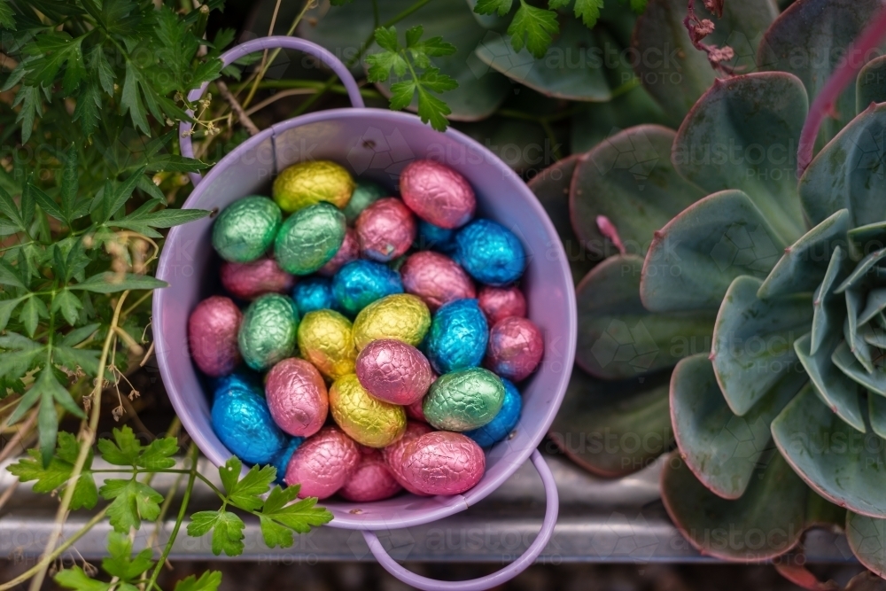 Image of mini Easter eggs hidden beside plant Austockphoto