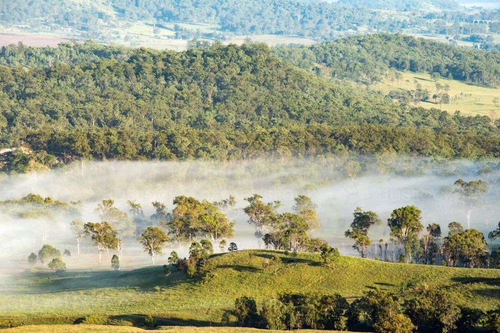 Mist covering over the valley on green trees in the early evening - Australian Stock Image