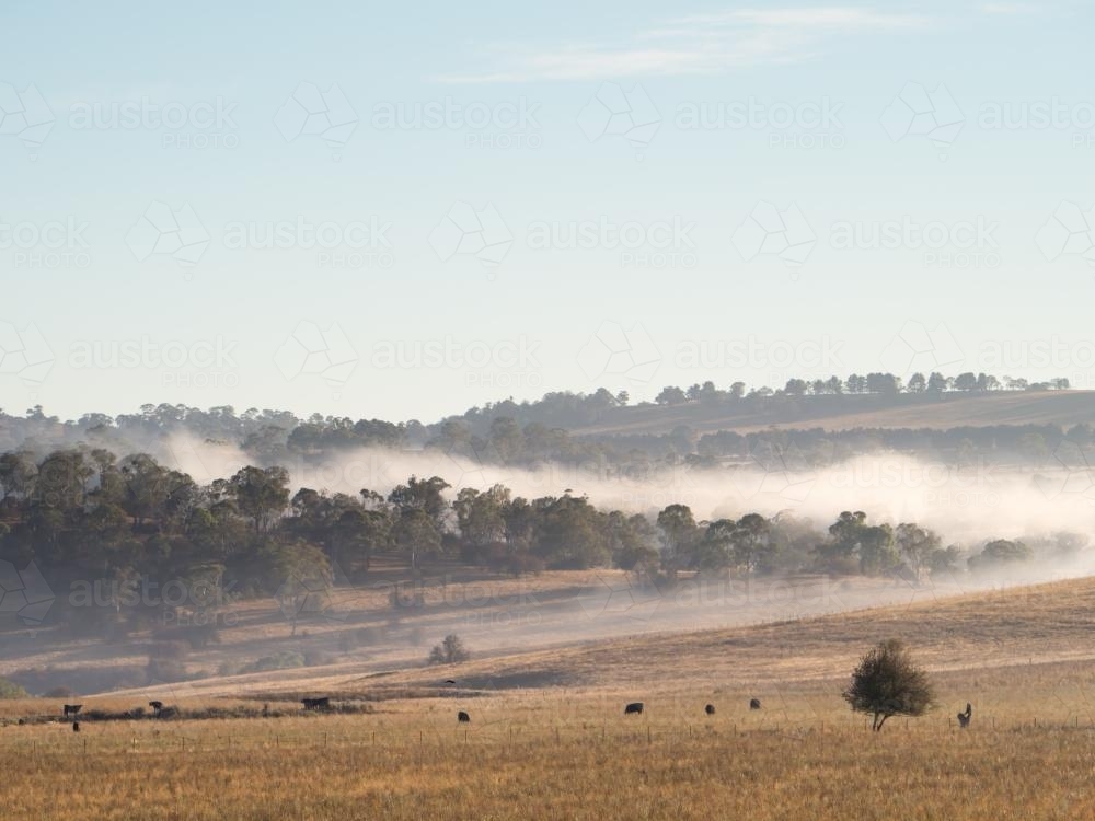 Mist in the hills, with clear blue sky - Australian Stock Image