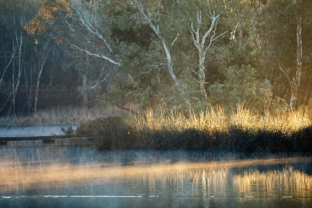 mist rising from wetlands at sunrise - Australian Stock Image