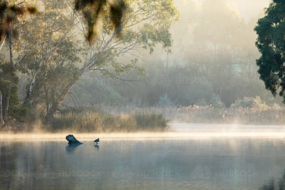 mist rising over water in early morning light - Australian Stock Image