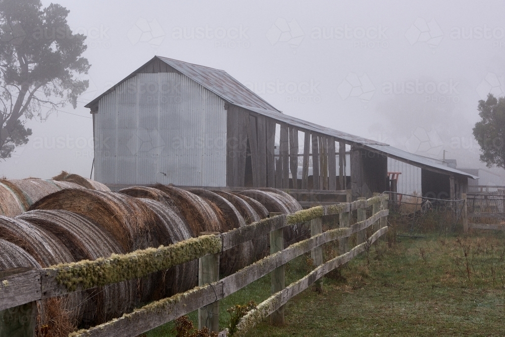 Misty Farmyard in NW Tasmania - Australian Stock Image
