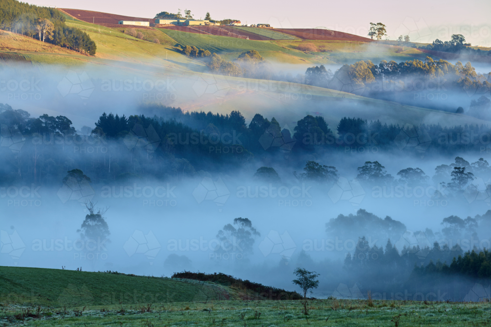 Misty landscape in rural Tasmania - Australian Stock Image