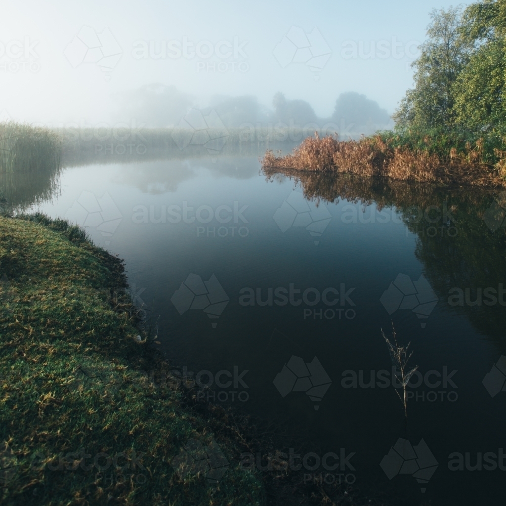 Misty morning beside a river with calm water, reeds and trees - Australian Stock Image