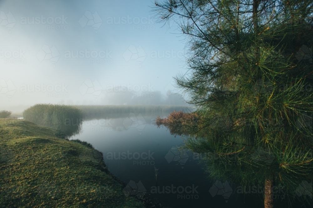 Misty morning beside a river with calm water, reeds and trees - Australian Stock Image