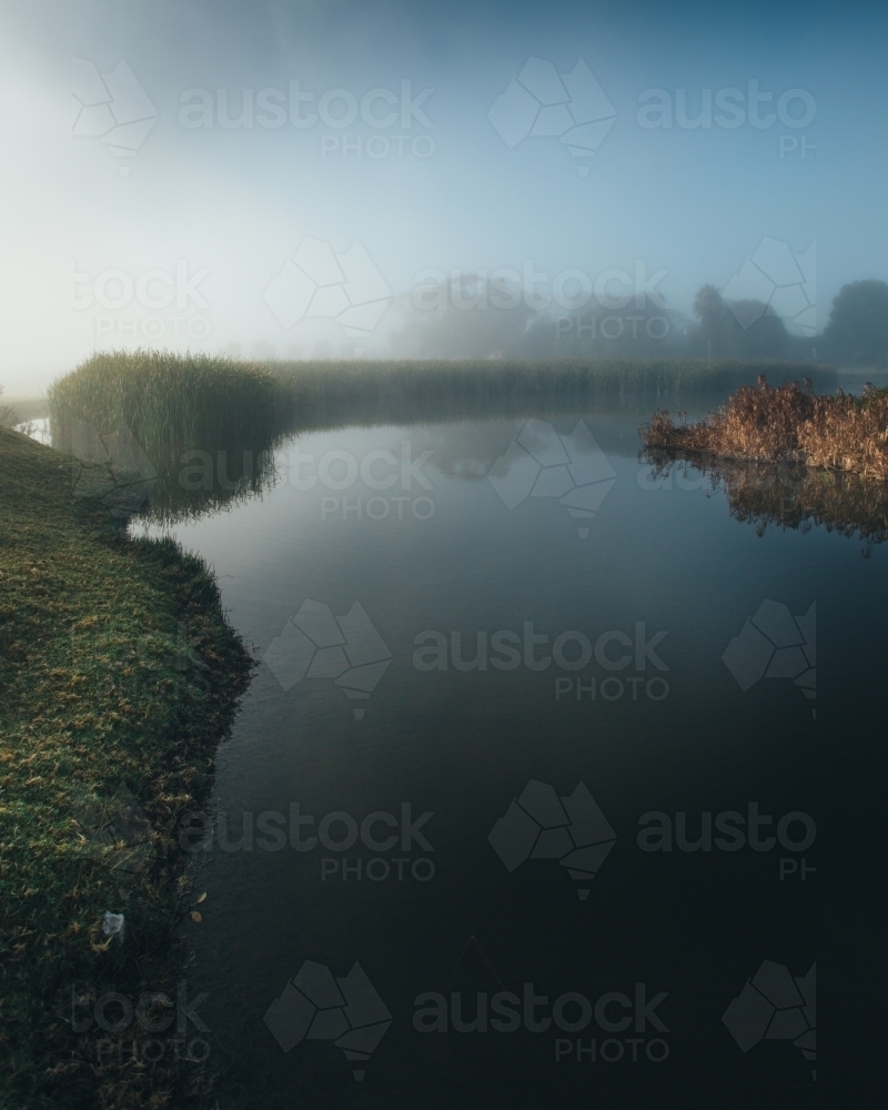 Misty morning beside a river with calm water, reeds and trees - Australian Stock Image