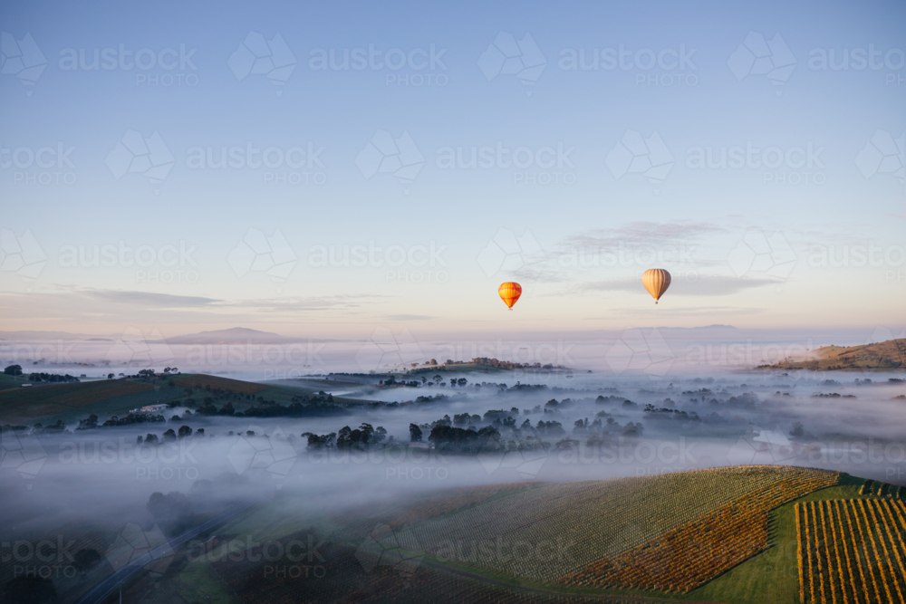 Misty Morning Flight - Australian Stock Image