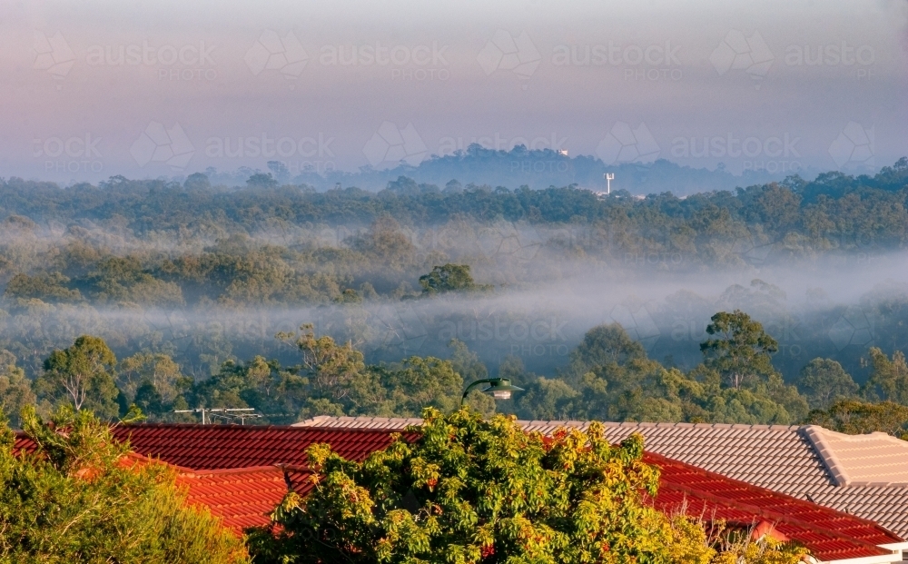 Misty Morning over the Suburbs - Australian Stock Image