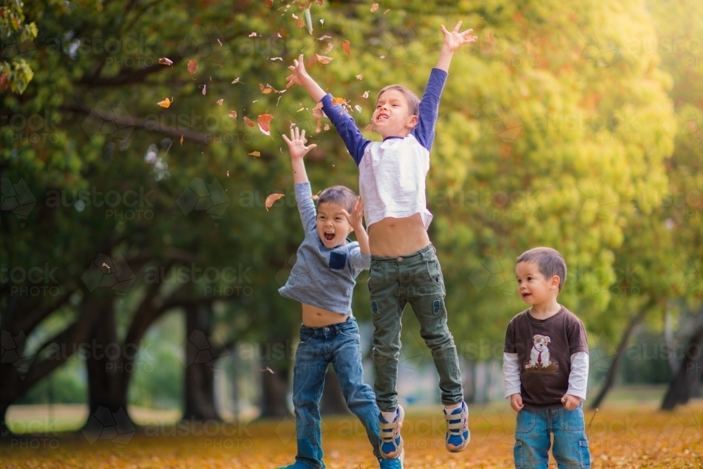 Mixed race boys play in a park with Autumn leaves - Australian Stock Image
