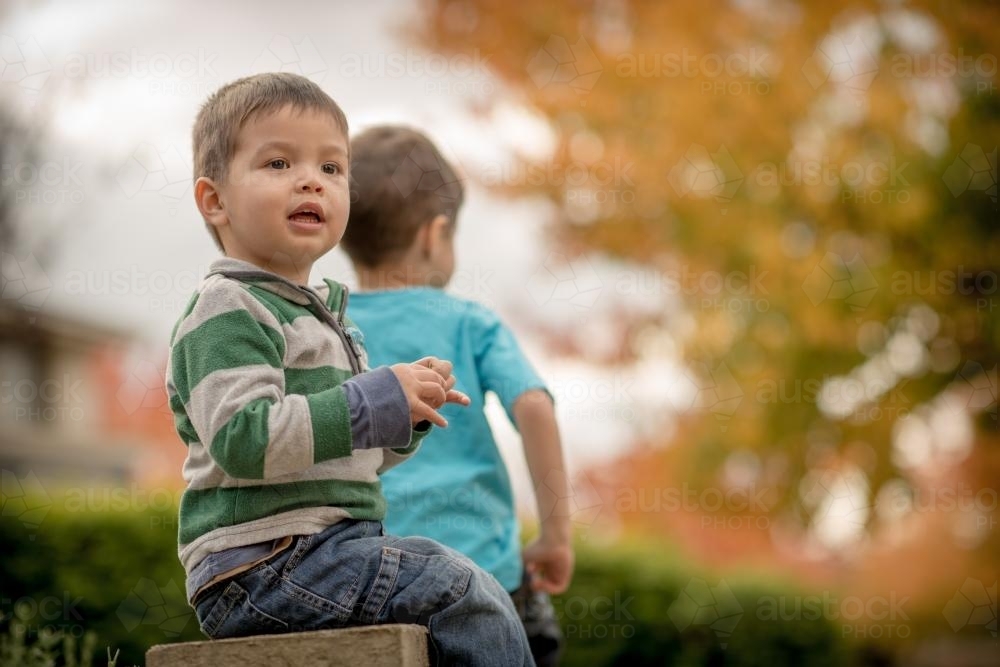 Mixed race brothers play together in the yard of their suburban Sydney home with autumn trees - Australian Stock Image