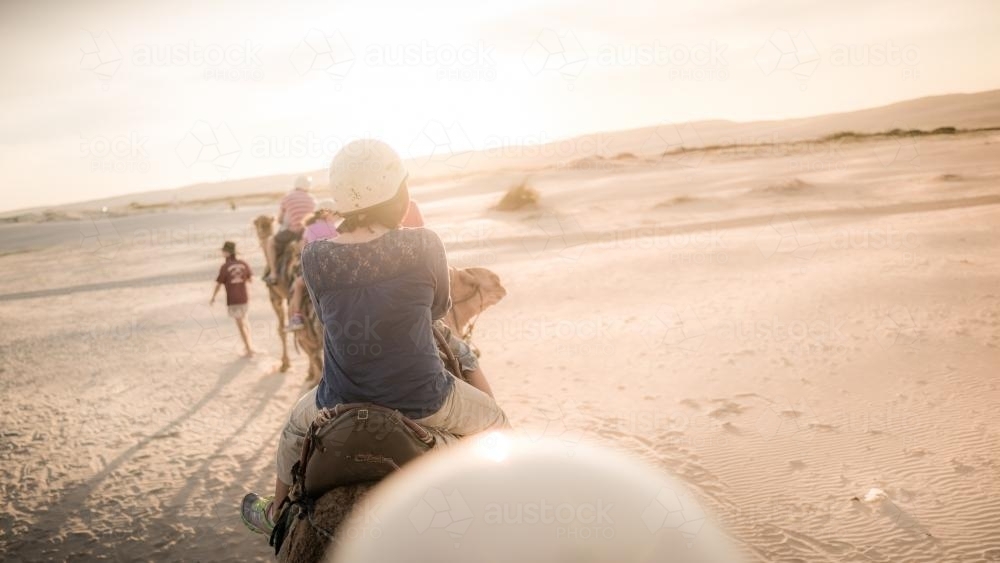 Mixed race family ride camels on beach at sunset - Australian Stock Image