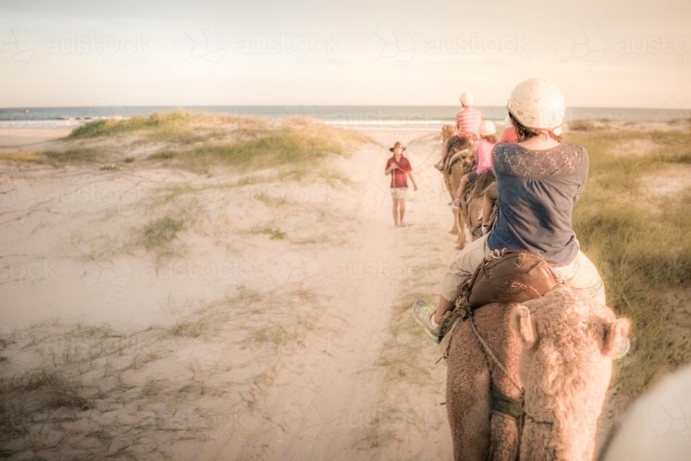 Mixed race family ride camels on beach at sunset - Australian Stock Image