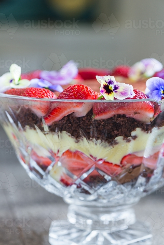 modern trifle dessert, made with chocolate brownie cake, custard and strawberry - Australian Stock Image