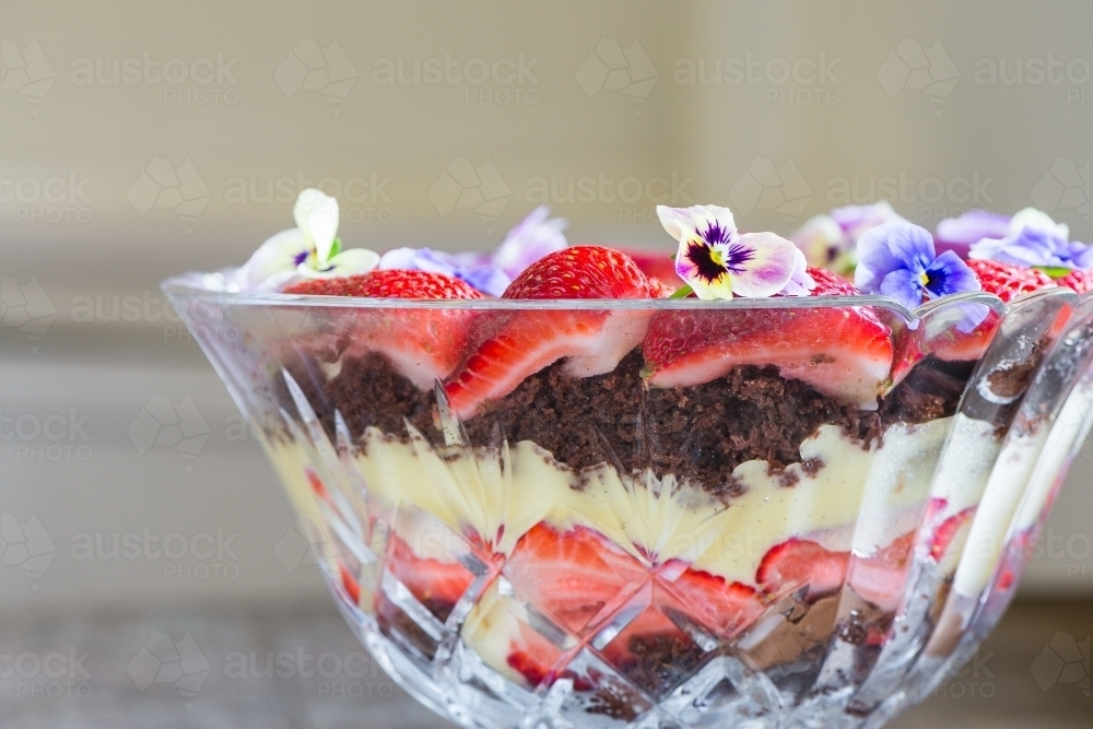 modern trifle dessert, made with chocolate brownie cake, custard and strawberry - Australian Stock Image