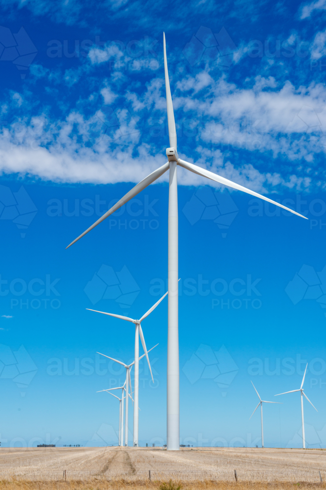 Modern wind turbines standing tall above dry farmland beneath a vivid blue sky - Australian Stock Image