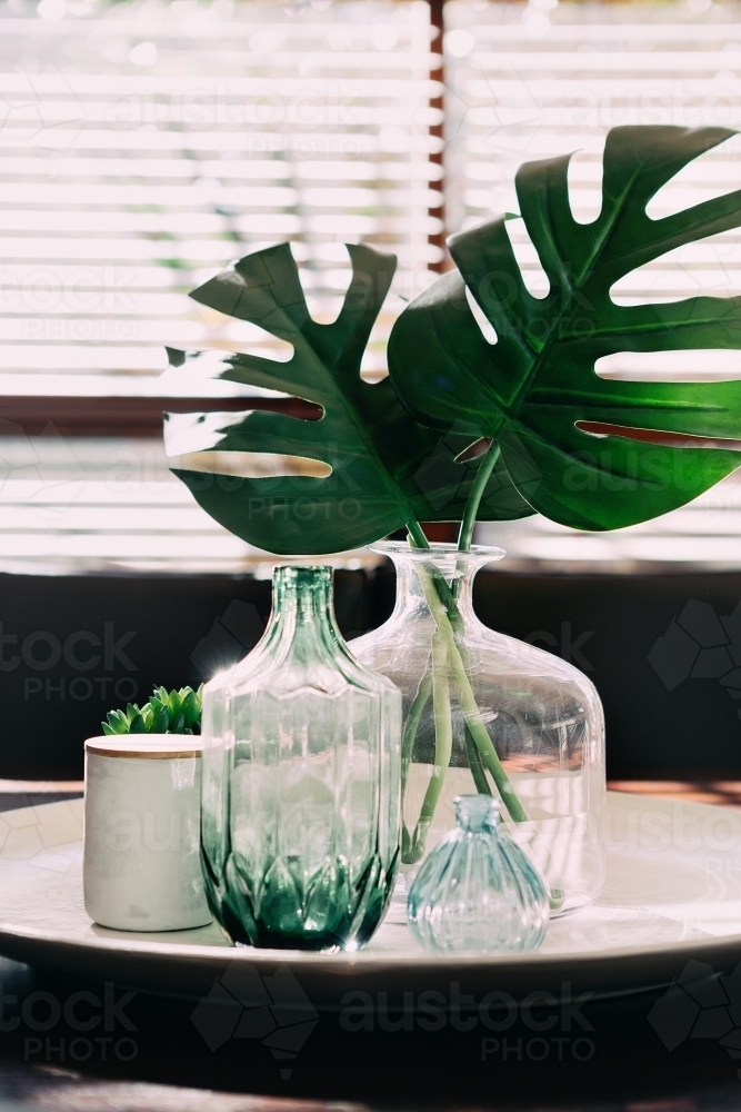 Monstera palm leaves in a vase on a dining table with vintage objects - Australian Stock Image